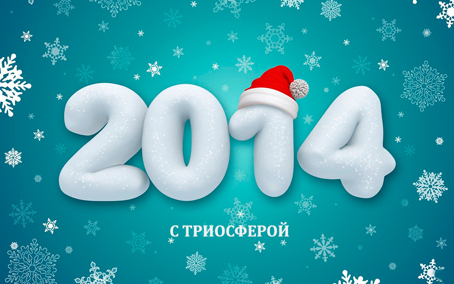 Новый 2014 год